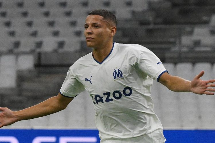 Amine Harit