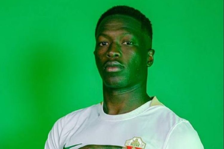 Pape Cheikh Diop