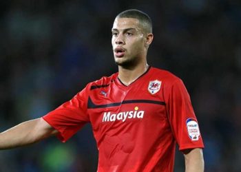 Rudy Gestede