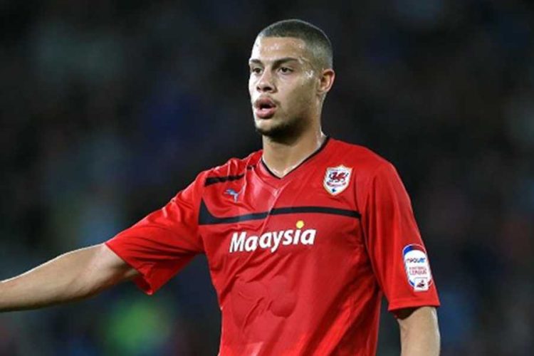Rudy Gestede