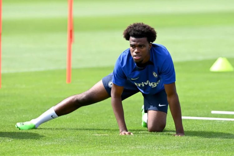 Carney Chukwuemeka