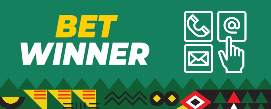 partenaire Betwinner Guides And Reports