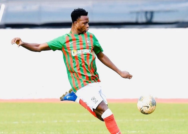 Francisco Gonçalves Sacalumbo