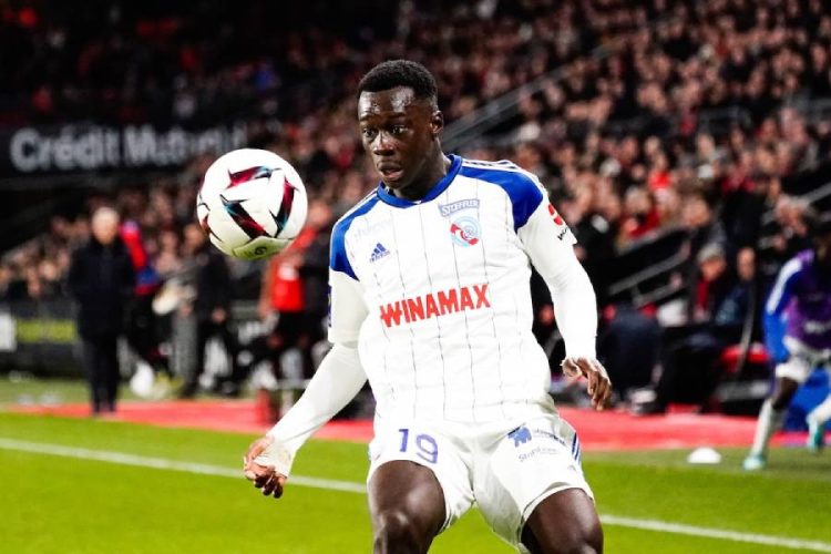 Habib Diarra