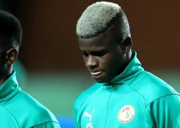 Mikayil Ngor Faye