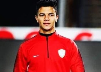 Mohamed Shehata