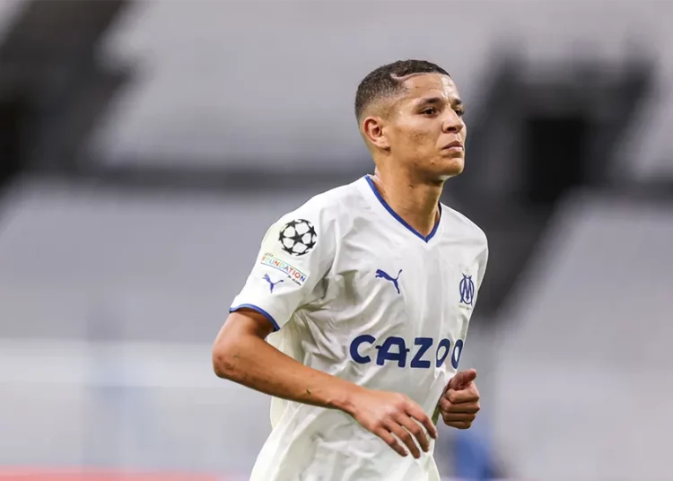 Amine Harit