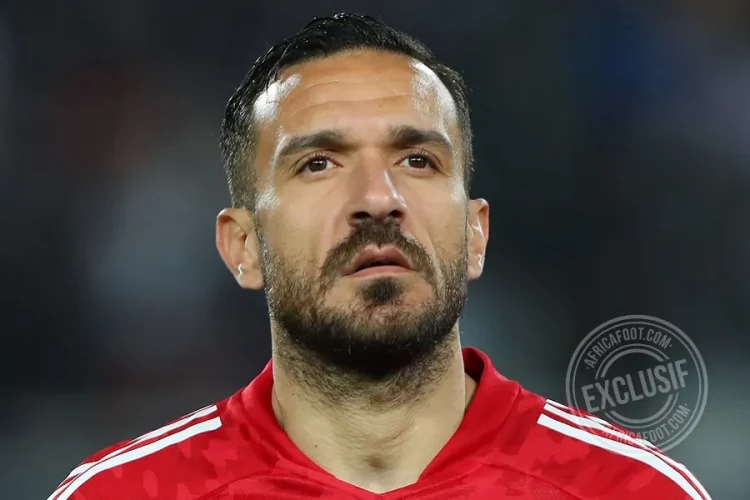 Ali Maaloul
