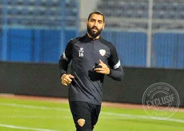 Amer Mohamed Amer