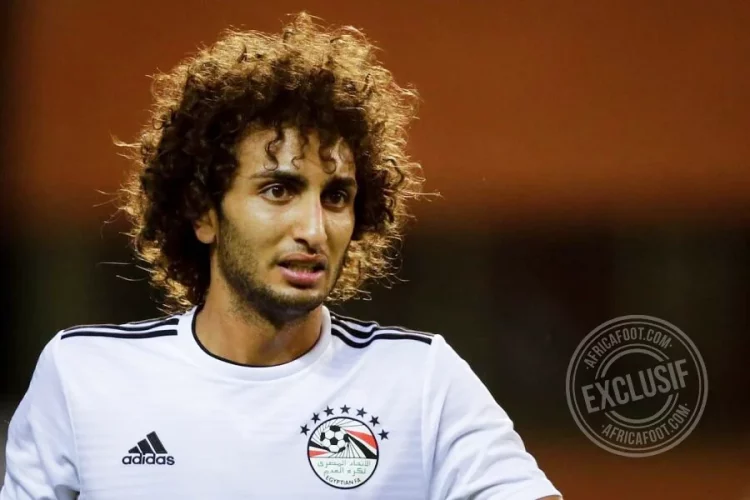 Amr Warda