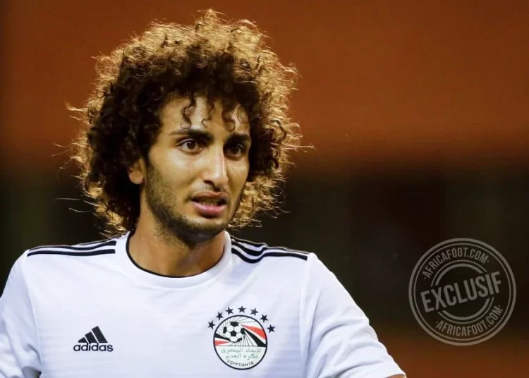 Amr Warda