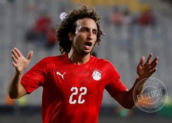 Amr Warda
