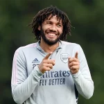 Mohamed Elneny