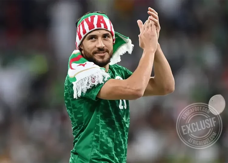 Youcef Belaïli