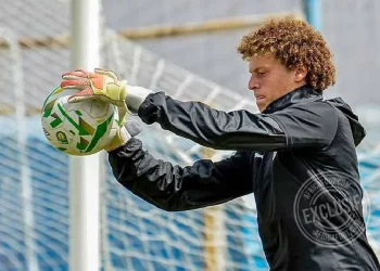 Ahmed Nader El-Sayed