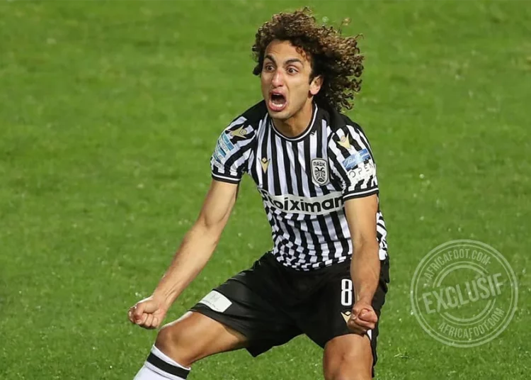 Amr Warda