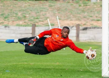 Simon Ngapandouetnbu