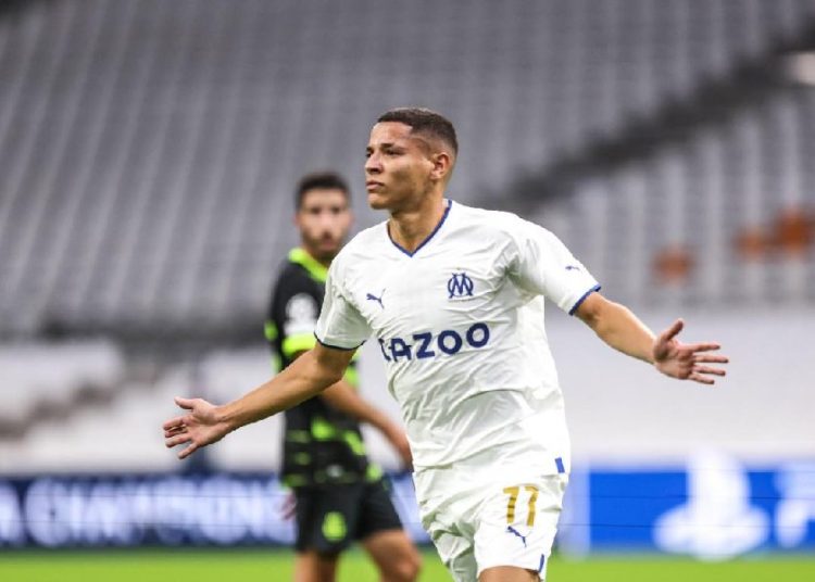 Amine Harit