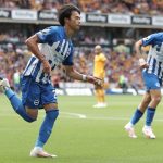 FC Brighton