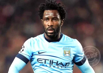 Wilfried Bony