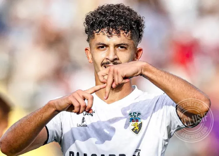 Bachir Belloumi