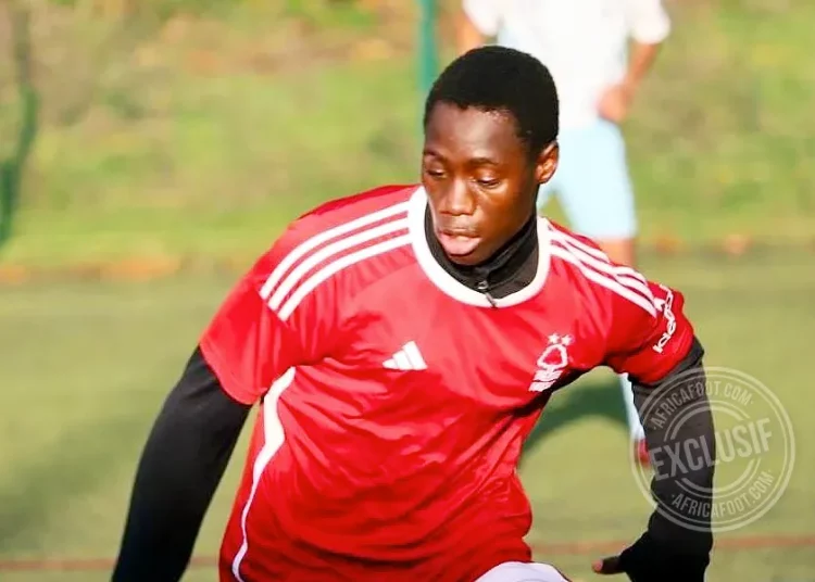 Lamin Daffeh