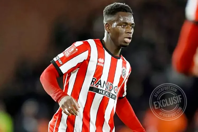 Cheick Ismaila Coulibaly