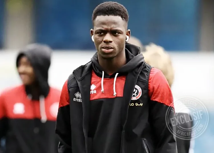 Cheick Ismaila Coulibaly