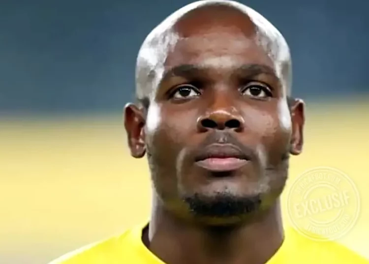 Repo Tercious Malepé