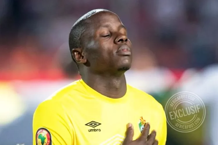 Nyasha Mushekwi