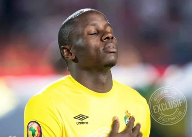 Nyasha Mushekwi
