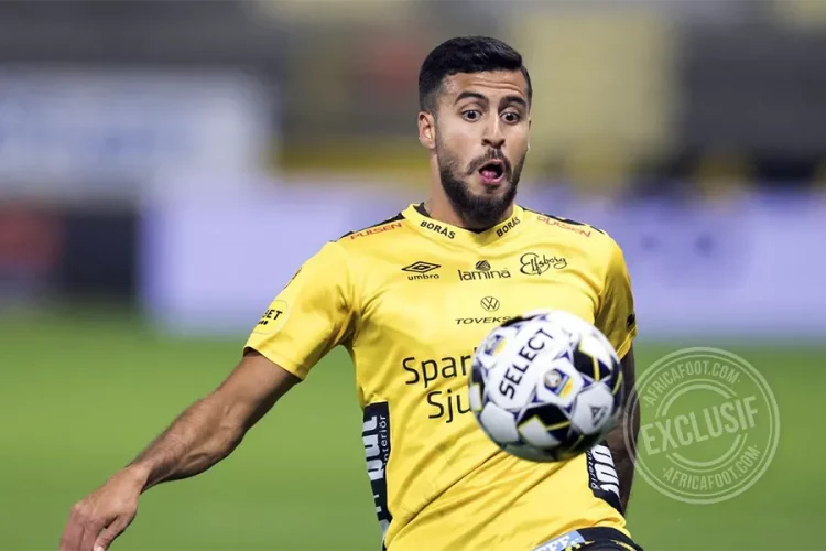 Rami Kaib
