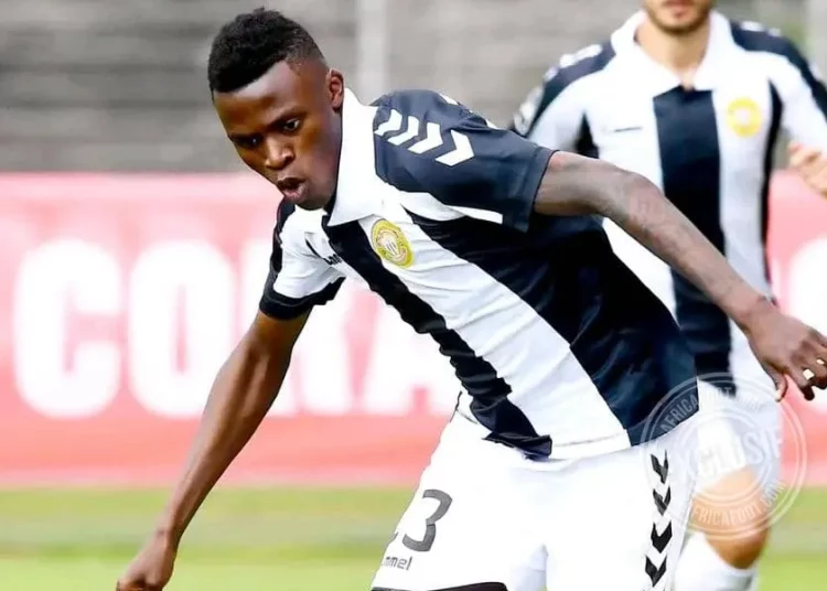 Witiness Quembo Witi