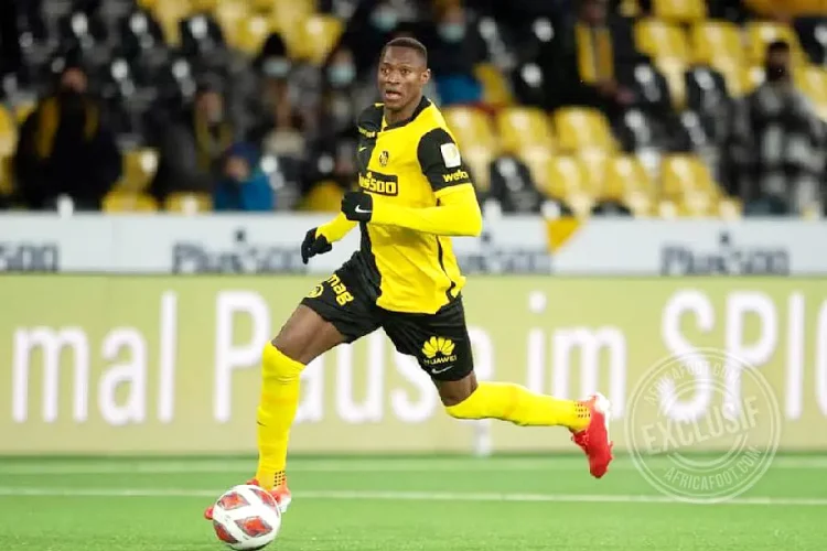 Mohamed Ali Camara