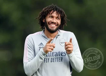 Mohamed Elneny