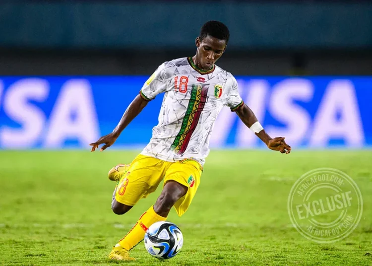 Moussa Diop