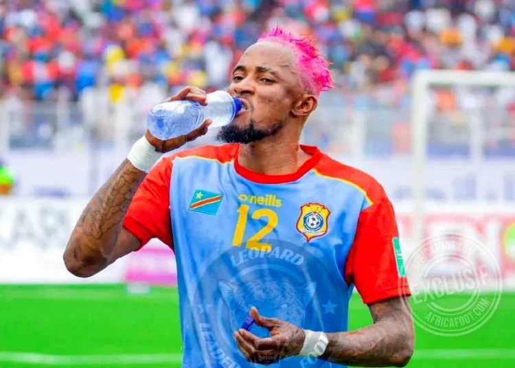 Dieumerci Mukoko Amale