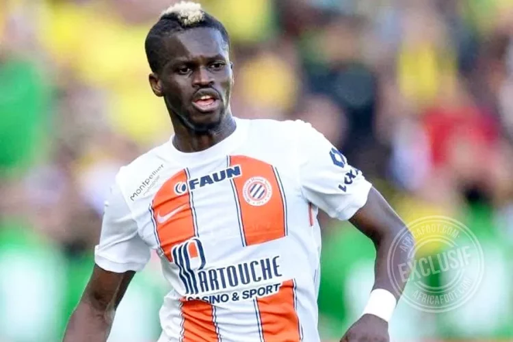 Falaye Sacko
