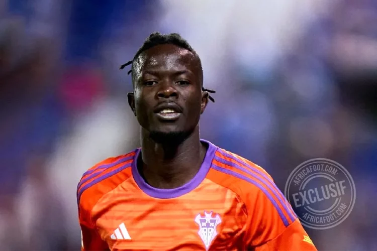 Mohamed Djetei Camara