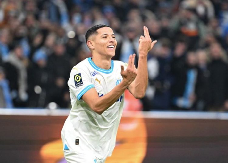 Amine Harit