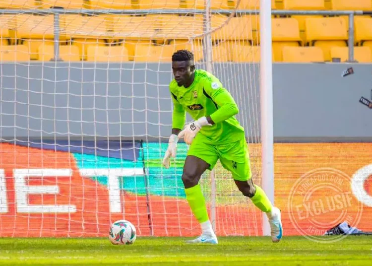 Cheikh Lo Ndoye