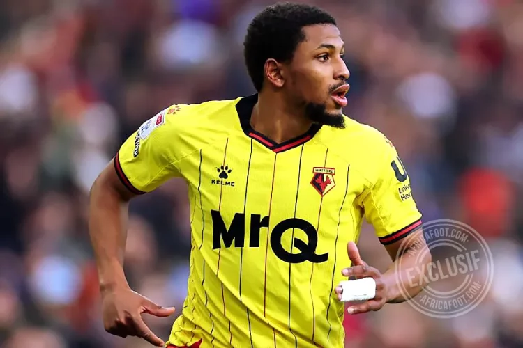 Yasser Larouci
