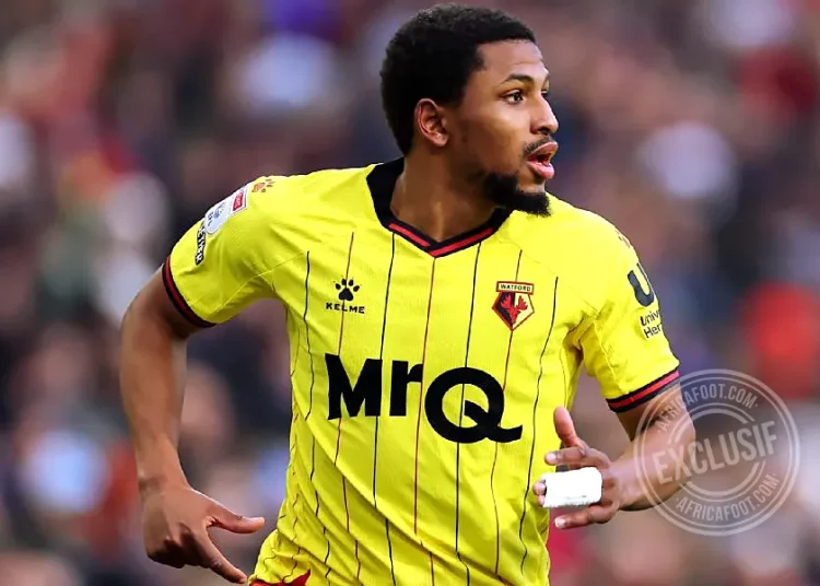 Yasser Larouci