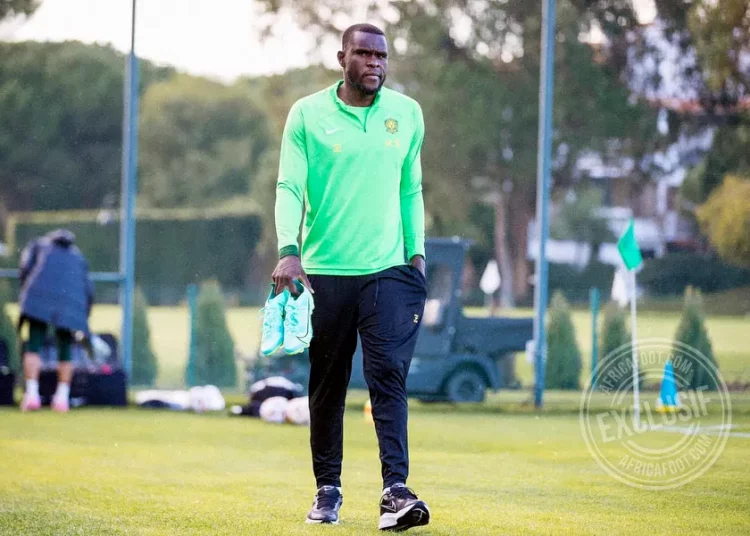 Michael Ngadeu