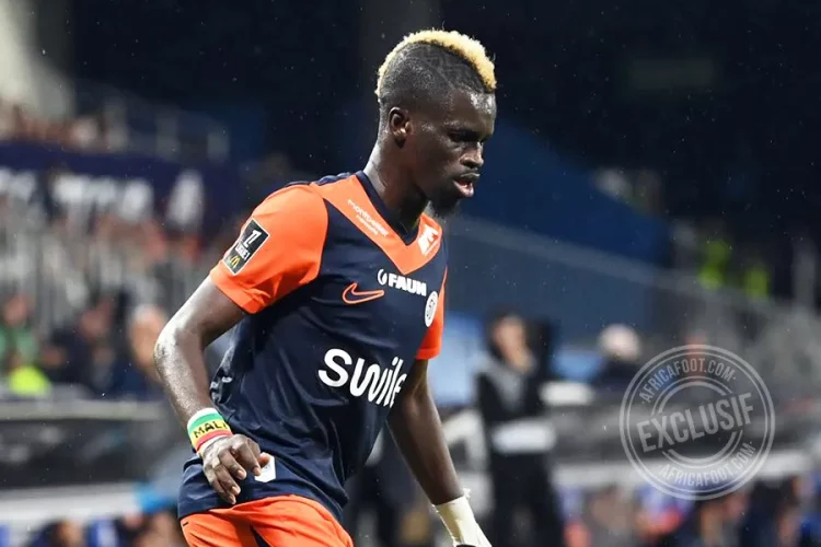 Falaye Sacko