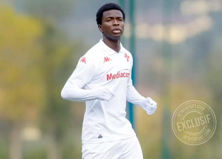 Mamadou Alpha Diallo