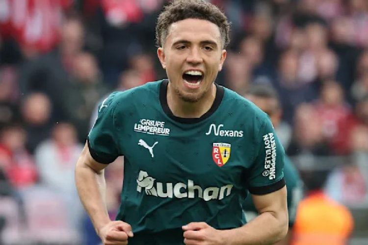 Neil El Aynaoui