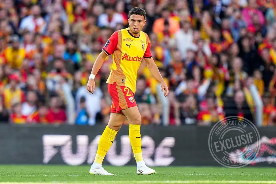 Neil El Aynaoui