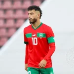Amine Zouhzouh