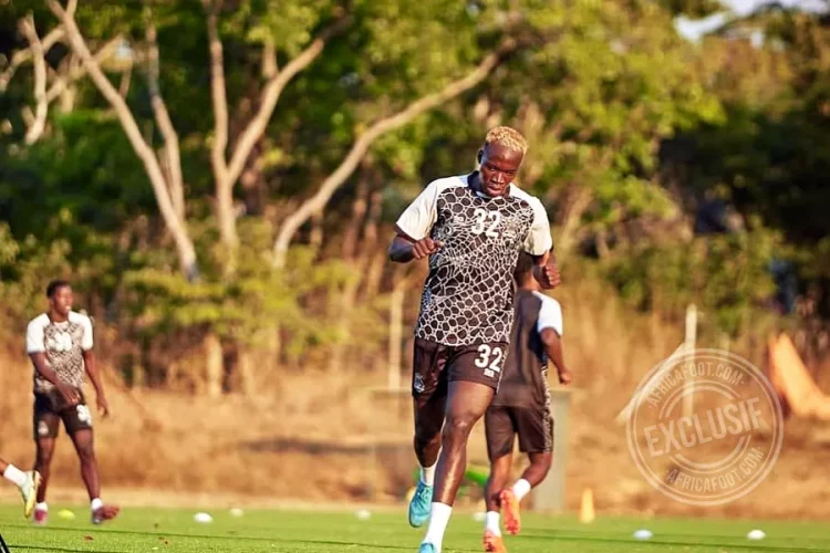 Cheick Oumar Fofana